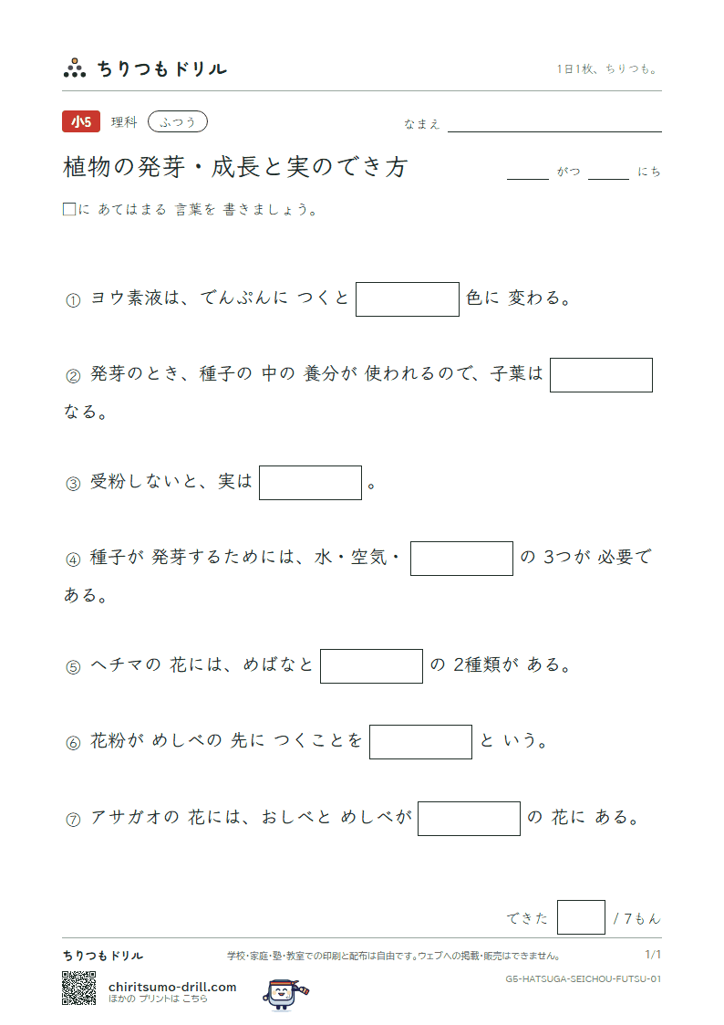 植物の発芽・成長と実のでき方 ふつう その1の見本
