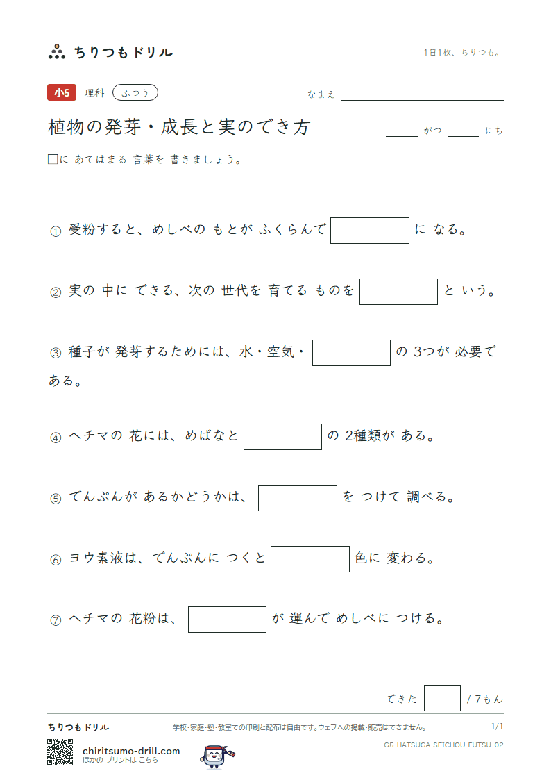 植物の発芽・成長と実のでき方 ふつう その2の見本