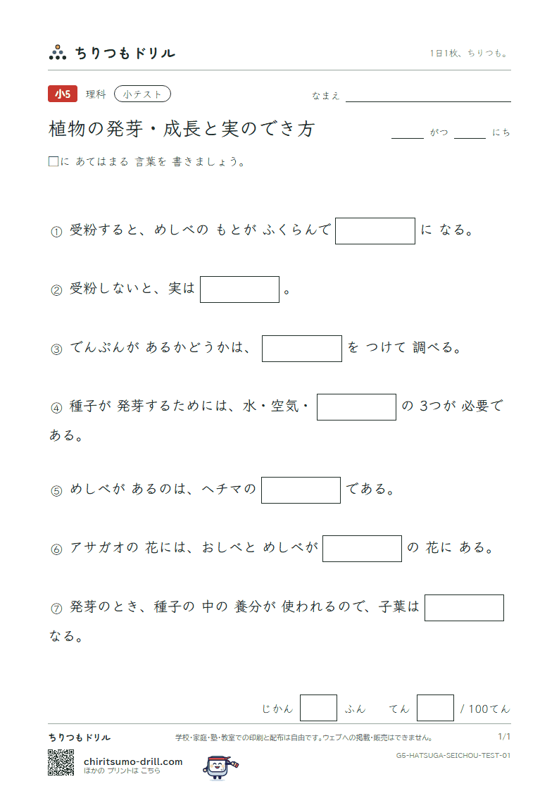 植物の発芽・成長と実のでき方 小テスト その1の見本