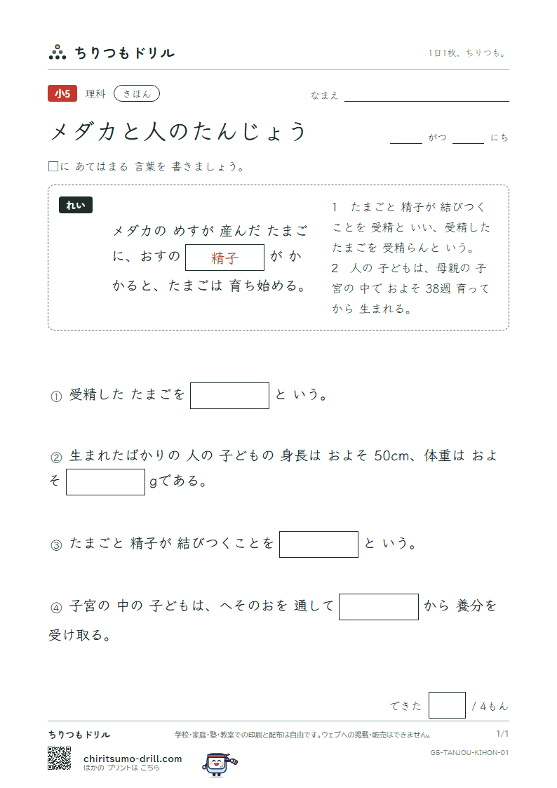 メダカと人のたんじょう きほん その1の見本