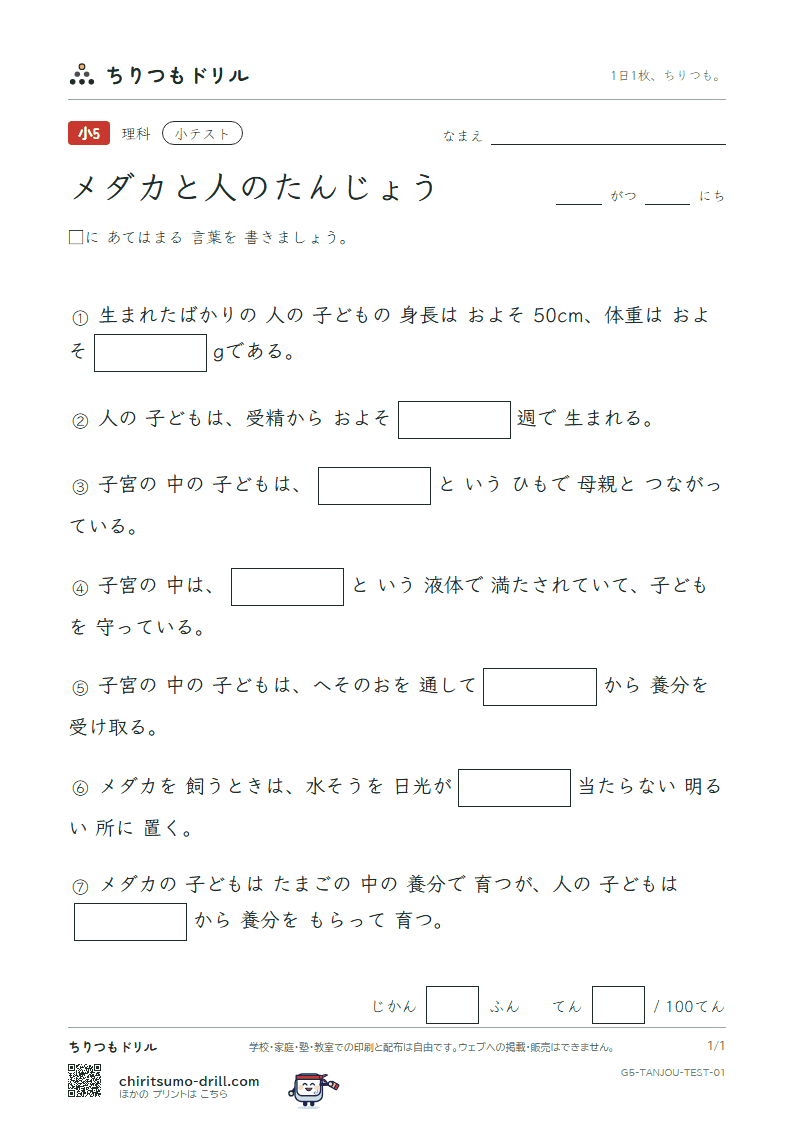 メダカと人のたんじょう 小テスト その1の見本