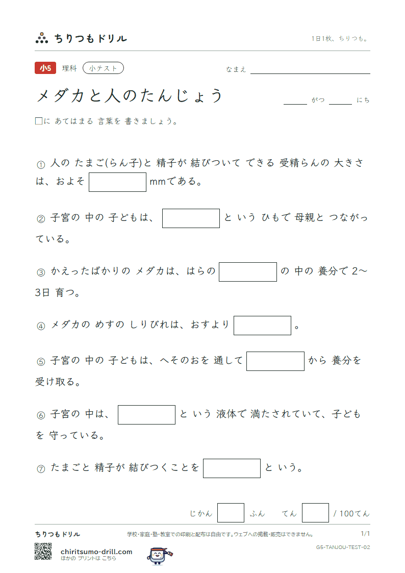 メダカと人のたんじょう 小テスト その2の見本